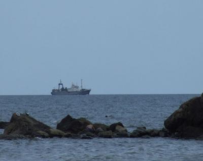 Прикрепленное изображение: DSCF8521.jpg